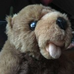 Björn Graf profile image